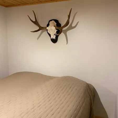 Lomanaamanka Kanerva *