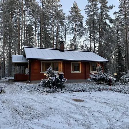 Lomanaamanka Kanerva Apartment *