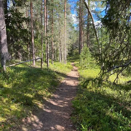 Lomanaamanka Kanerva Lägenhet