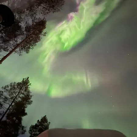 Lomanaamanka Kanerva Syöte
